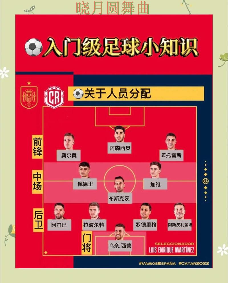 世界杯买球登录新手入门规则解析 避坑思路分享